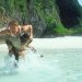 Maya Bay: El lugar donde se filmó la película “La Playa”
