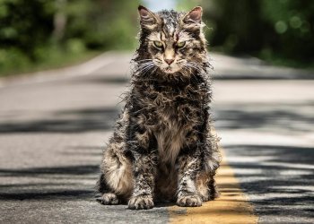 Primeras imágenes de la nueva versión de “Pet Sematary”
