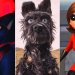 Las 25 películas animadas que van por el Premio Oscar