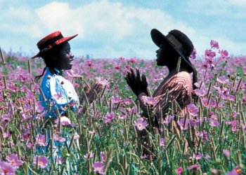 Steven Spielberg hará un musical de The Color Purple
