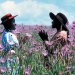 Steven Spielberg hará un musical de The Color Purple