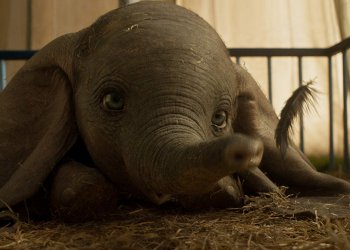 Estos son los pósters de la película live action de “Dumbo”