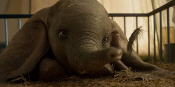 Estos son los pósters de la película live action de “Dumbo”