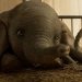 Estos son los pósters de la película live action de “Dumbo”