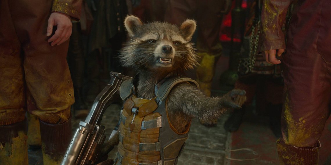 Murió Oreo, el mapache que inspiró a Rocket en Guardianes de la galaxia