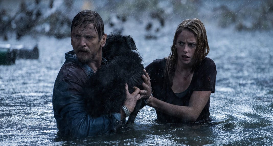 ¡Mirá el atrapante trailer de Crawl!