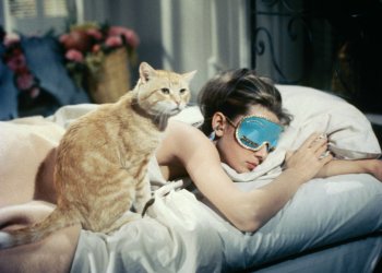 Día del gato: Los 10 felinos más encantadores del cine