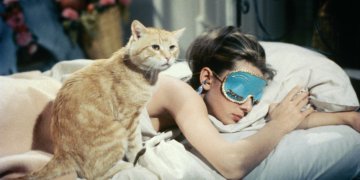 Día del gato: Los 10 felinos más encantadores del cine