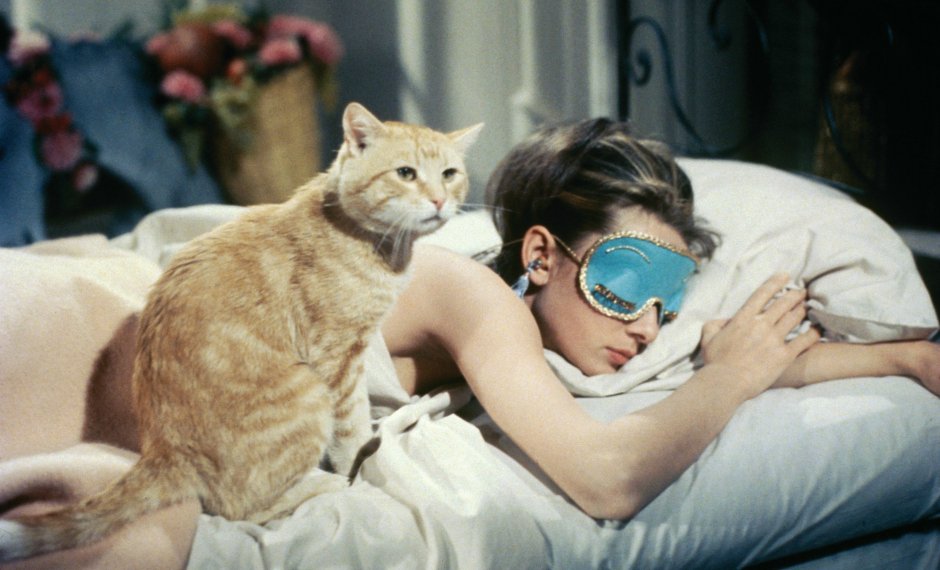 Día del gato: Los 10 felinos más encantadores del cine