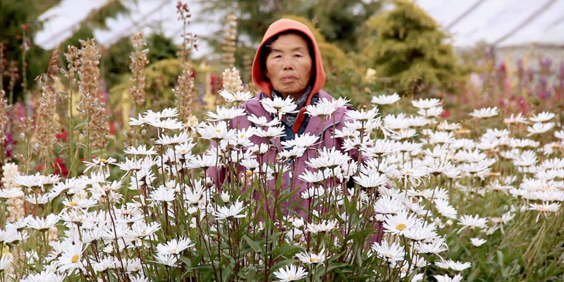 Construir TV estrena “Halmoni” un film que cuestiona la identidad cultural