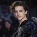 Todo lo que (quizás) no sabías de Timotheé Chalamet