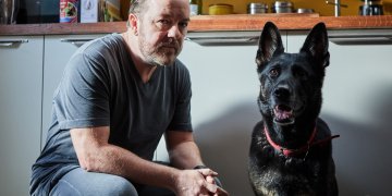 “After life” tendrá tercera temporada