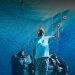 Lodge 49: Como es arriba es abajo