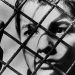 La poesía del mar: análisis de Los 400 golpes de François Truffaut