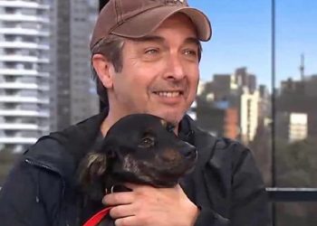 El gran gesto de Ricardo Darín con un perrito de la calle