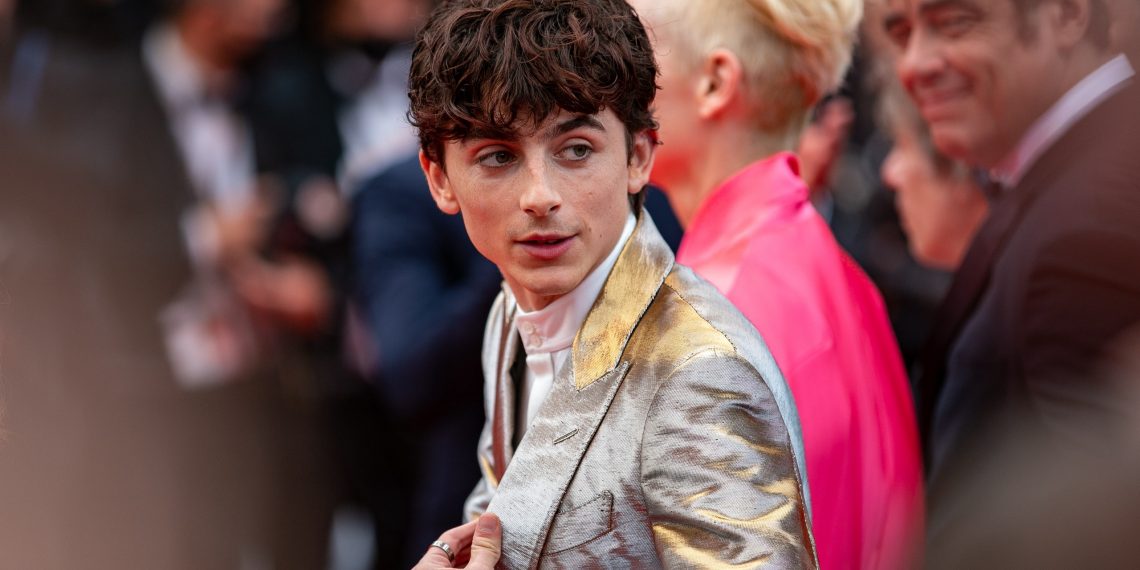Timothée Chalamet reveló el motivo por el cual se dedicó a la actuación