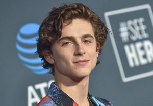 Timothée Chalamet opinó seriamente sobre Spider-Man: No Way Home