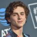 Timothée Chalamet opinó seriamente sobre Spider-Man: No Way Home