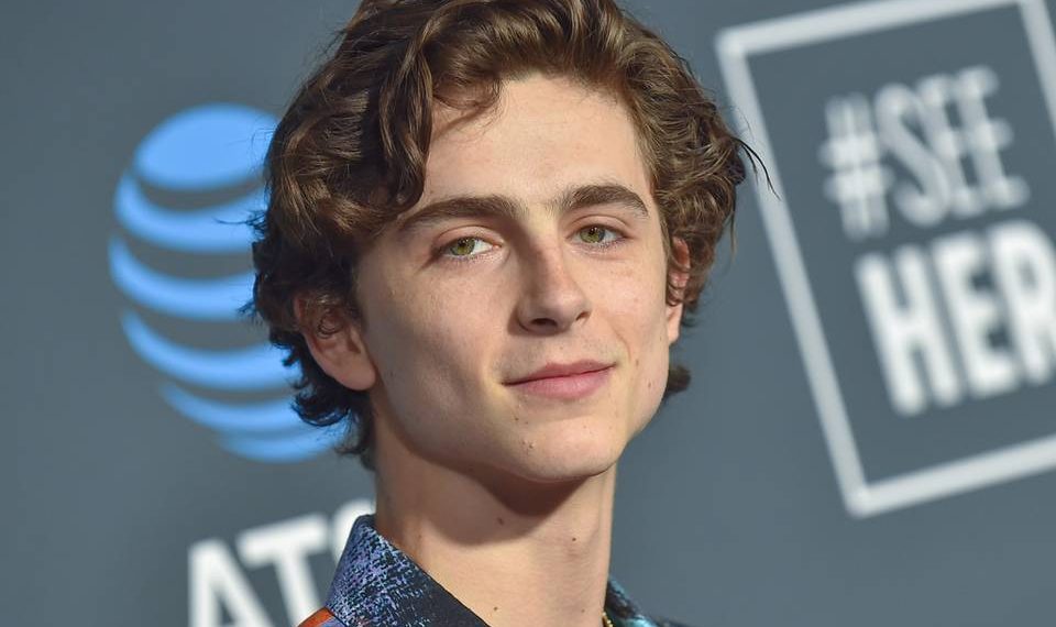 Timothée Chalamet opinó seriamente sobre Spider-Man: No Way Home