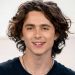 Para Timothée Chalamet, su carrera es un éxito porque no hace cine de superhéroes