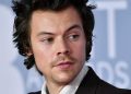 Harry Styles habló de su incorporación en Marvel