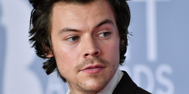 Harry Styles habló de su incorporación en Marvel