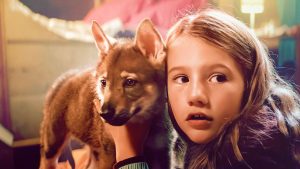 Si te gustó Hachiko, no te pierdas este estreno en Netflix