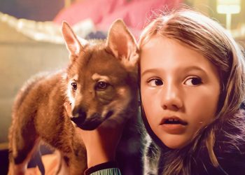 Si te gustó Hachiko, no te pierdas este estreno en Netflix