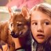 Si te gustó Hachiko, no te pierdas este estreno en Netflix