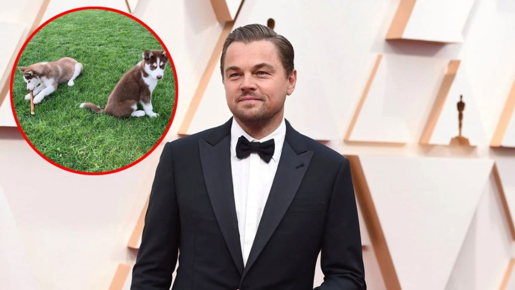 Leonardo DiCaprio arriesgó su vida para salvar a sus perros