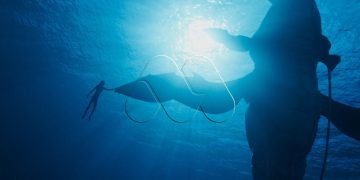 Primeras imágenes de Avatar: The Way of Water