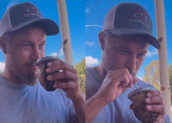 Ragnar de Vikingos probó el mate y su reacción se volvió viral