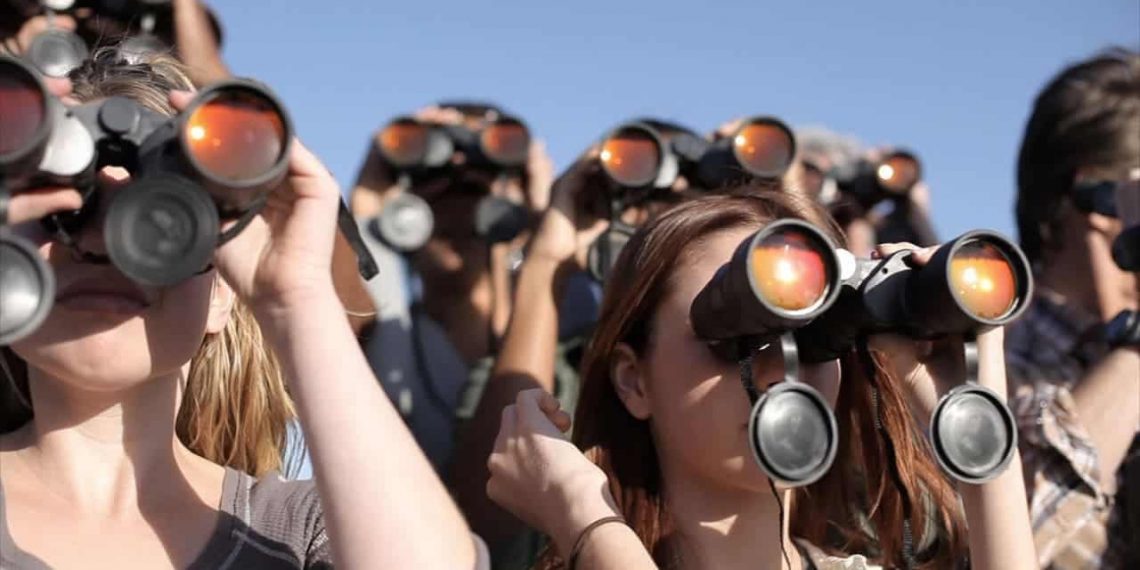 Límites de la comedia: Cuatro películas que ponen a prueba tu sentido del humor