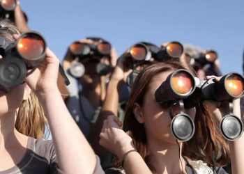 Límites de la comedia: Cuatro películas que ponen a prueba tu sentido del humor