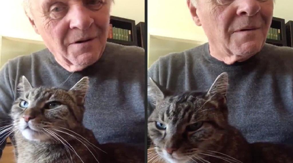 La emotiva despedida de Anthony Hopkins a su gato