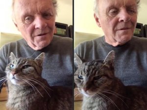 La emotiva despedida de Anthony Hopkins a su gato
