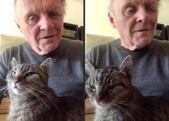 La emotiva despedida de Anthony Hopkins a su gato