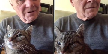 La emotiva despedida de Anthony Hopkins a su gato
