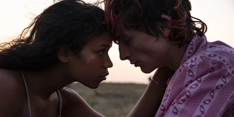 Mirá el escalofriante tráiler de Bones and All, lo nuevo de Timothée Chalamet