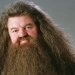 Falleció Robbie Coltrane, el actor que interpretó a Hagrid en Harry Potter
