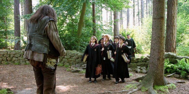 La emotiva despedida de Daniel Radcliffe, J.K. Rowling y Emma Watson a Robbie Coltrane