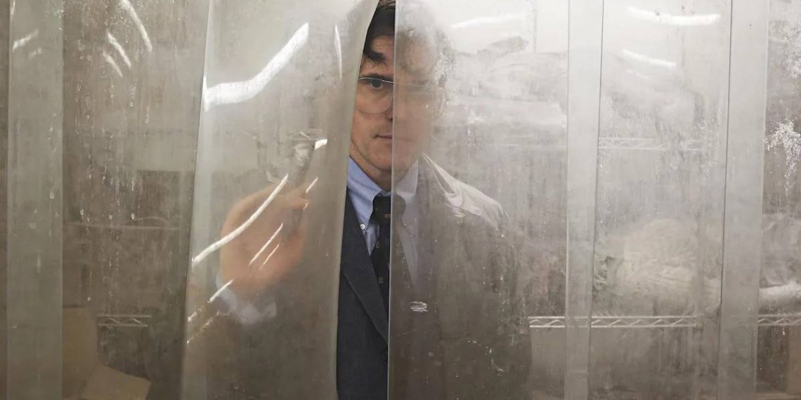 Halloween: 5 películas imperdibles para aprovechar en MUBI