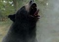 Cocaine Bear debutó con puntaje perfecto en Rotten Tomatoes