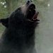 Cocaine Bear debutó con puntaje perfecto en Rotten Tomatoes