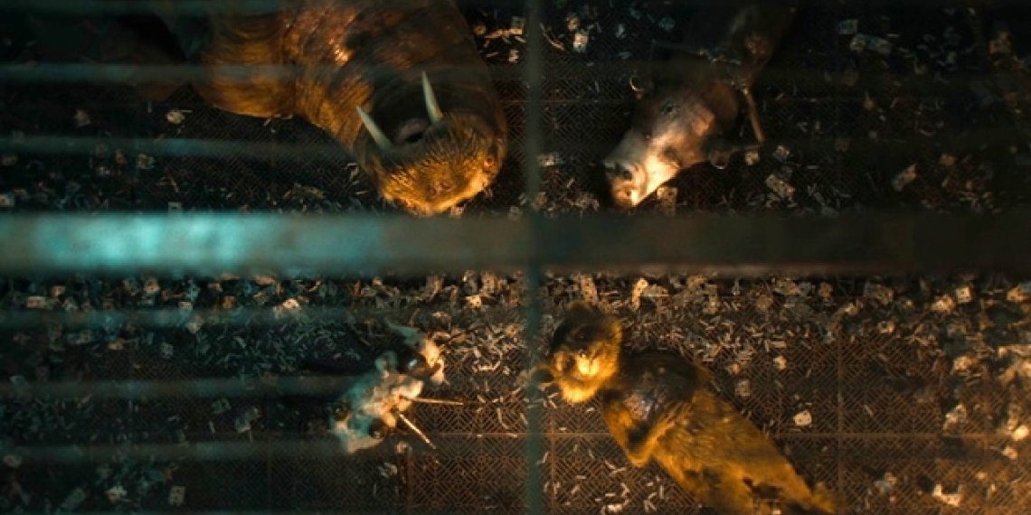 ¿La escena más triste del 2023?