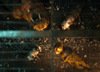 ¿La escena más triste del 2023?