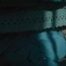 Nadie te salvará: La terrorífica película de extraterrestres que llega a Disney+
