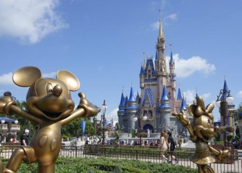 Cerraron Walt Disney World por el ingreso de un oso a Magic Kingdom