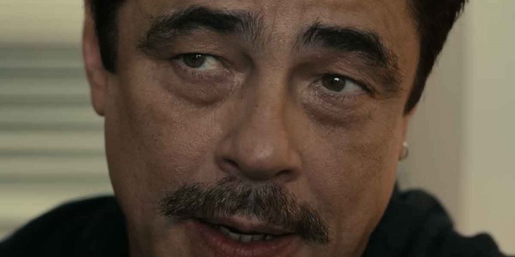 “Reptiles”: la nueva película con Benicio del Toro y Justin Timberlake