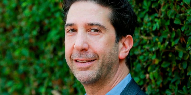 La curiosidad de David Schwimmer en Friends